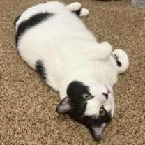 Thumbnail photo of Nadia #1