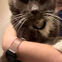 Thumbnail photo of Wolfgang #2