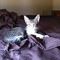 Thumbnail photo of Uno #2