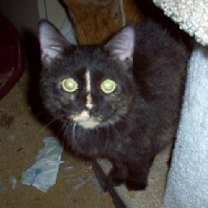 Thumbnail photo of Ariel #1