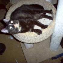 Thumbnail photo of Ariel #2
