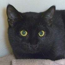 Thumbnail photo of Dela #1