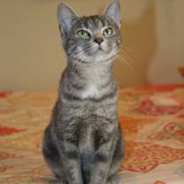 Thumbnail photo of Mindy #4