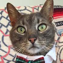 Thumbnail photo of ERNEST/ Huge Personality #3