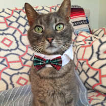 Thumbnail photo of ERNEST/ Huge Personality #2