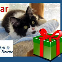 Thumbnail photo of Briar #4