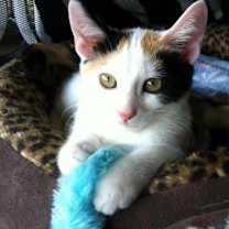 Thumbnail photo of Hope #1
