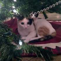 Thumbnail photo of Hope #2