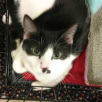 Thumbnail photo of Sheena #1