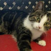 Thumbnail photo of Mork #3