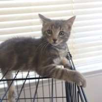 Thumbnail photo of Steve #3