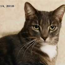 Thumbnail photo of Ivana #1
