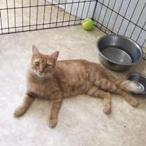 Thumbnail photo of Flo #4