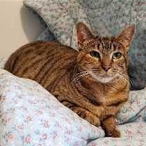 Thumbnail photo of Lucy #1