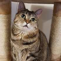 Thumbnail photo of Winky #1