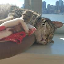 Thumbnail photo of Winky #2