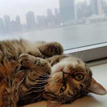 Thumbnail photo of Winky #3