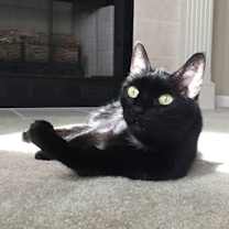 Thumbnail photo of Evie #1
