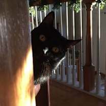 Thumbnail photo of Evie #3