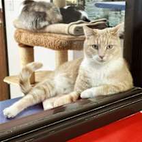 Thumbnail photo of Beamer #2