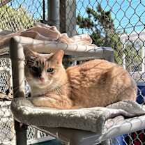 Thumbnail photo of Beamer #3