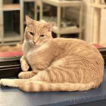 Thumbnail photo of Beamer #4