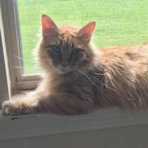 Thumbnail photo of Flo #1