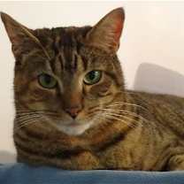 Thumbnail photo of Lucy #2