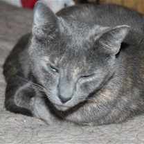 Thumbnail photo of Hollar Back Girl #2
