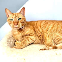 Thumbnail photo of Farley #2