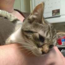 Thumbnail photo of Posie #3