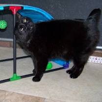 Thumbnail photo of Collette #3