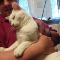 Thumbnail photo of Marshmallow #3