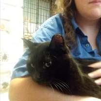 Thumbnail photo of Toronto- Needs Urinary Diet #2