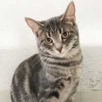 Thumbnail photo of Wiggles #1