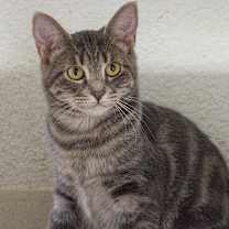 Thumbnail photo of Wiggles #2