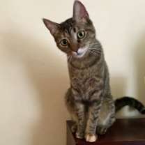 Thumbnail photo of Leigh #2