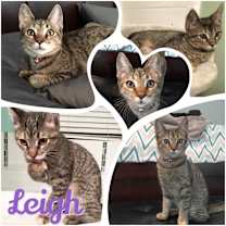 Thumbnail photo of Leigh #3