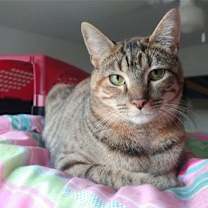 Thumbnail photo of Lucy #4