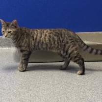 Thumbnail photo of Olivia #3
