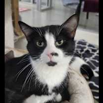 Thumbnail photo of Jett #1