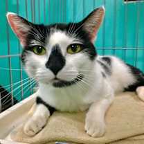 Thumbnail photo of Diego #1
