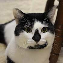 Thumbnail photo of Diego #2