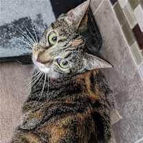 Thumbnail photo of Sally #3