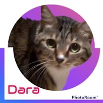 Thumbnail photo of Dara #2