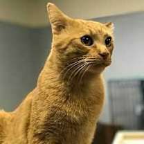 Thumbnail photo of Vincent #2