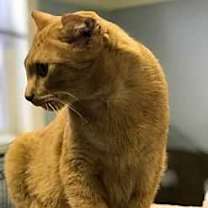 Thumbnail photo of Vincent #3