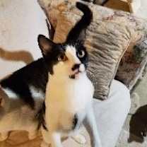Thumbnail photo of Panna-Courtesy Post! #2