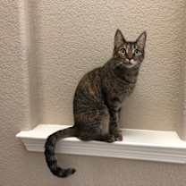 Thumbnail photo of Leigh #4