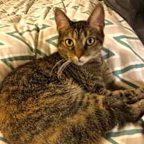 Thumbnail photo of Leigh #1